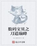 足球小将系统