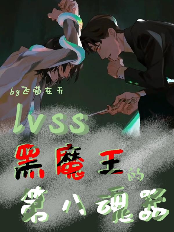 lvss:黑魔王的第八魂器